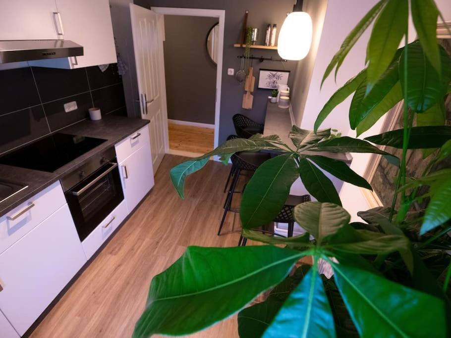 Natuerlich Mit Stil - 24-7 Und Check-in