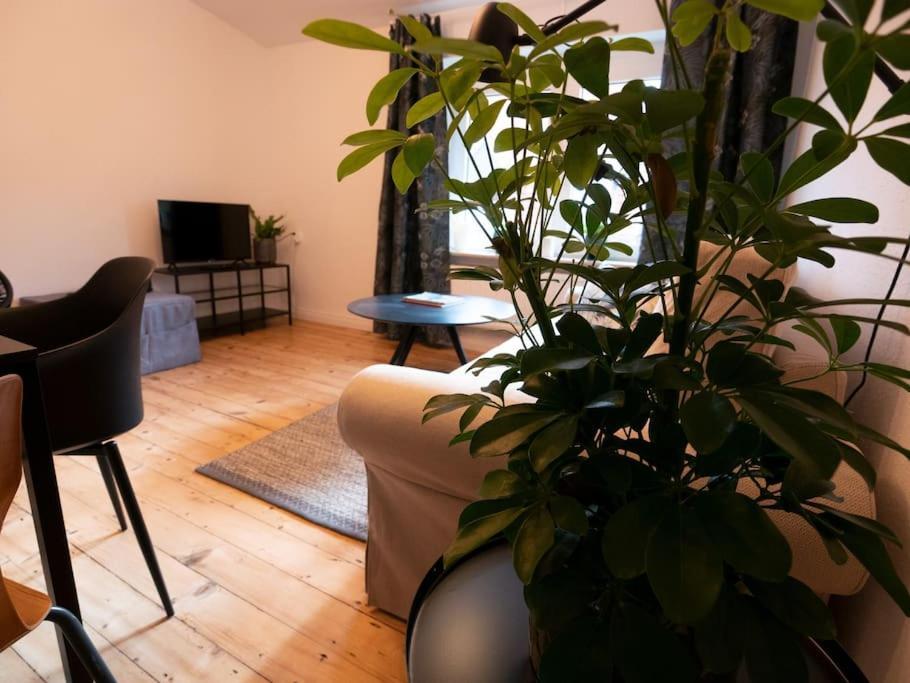 Apartment Natuerlich Mit Stil - 24-7 Und Check-in Kiel
